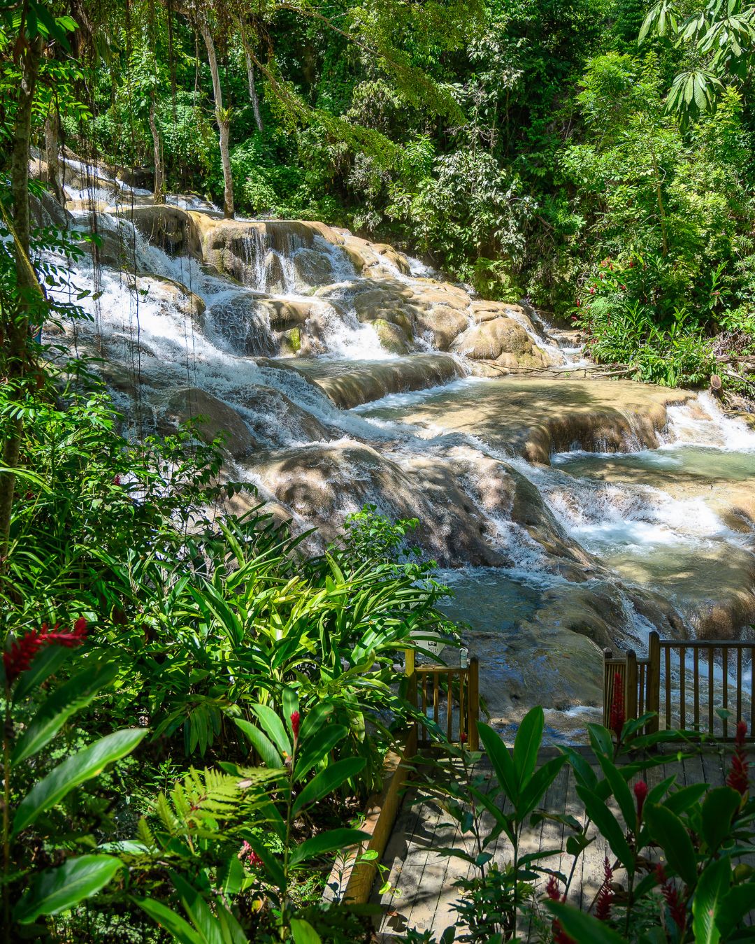 Discover Dunn’s River Falls with 7Mill Luxury Tour